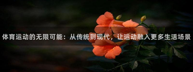 火凤体育免费直播nba：体育运动的无限可能：从传统到现代，让运动融入更多生活场景