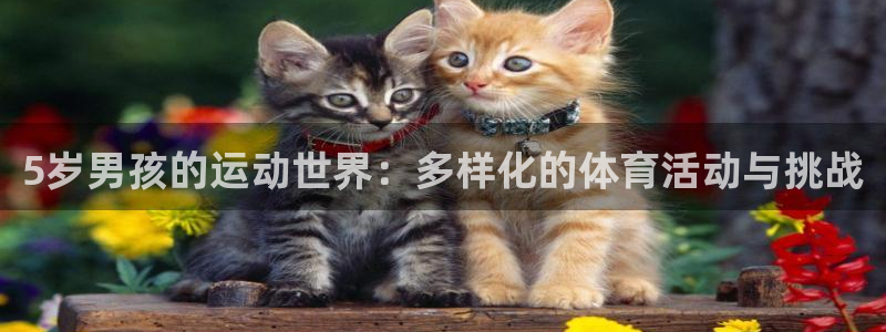 火凤体育免费直播平台：5岁男孩的运动世界：多样化的体育活动与挑战