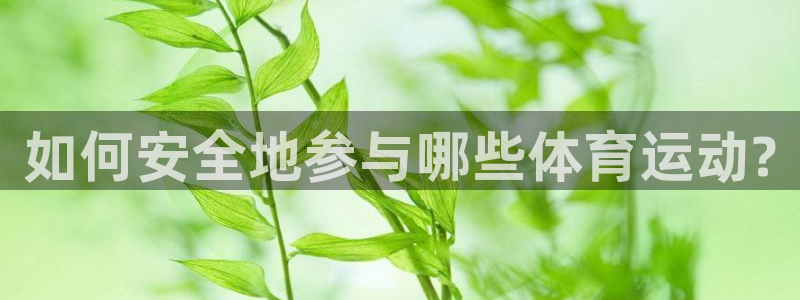 火凤体育回放：如何安全地参与哪些体育运动?