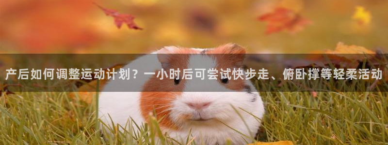 火凤体育免费直播平台：产后如何调整运动计划？一小时后可尝试快步走、俯卧撑等轻柔活动